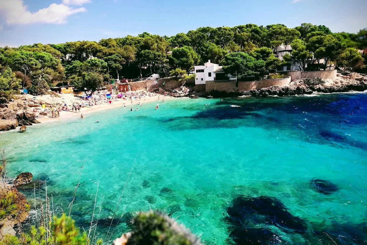CALA GAT