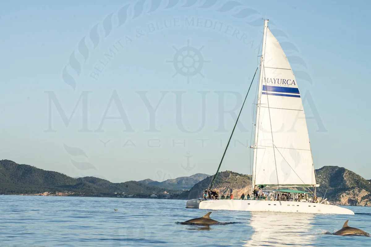 MAYURCA