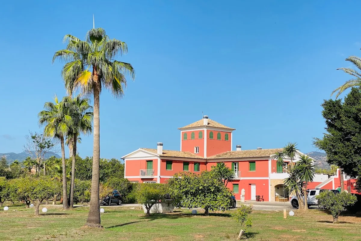 LOS NARANJOS
