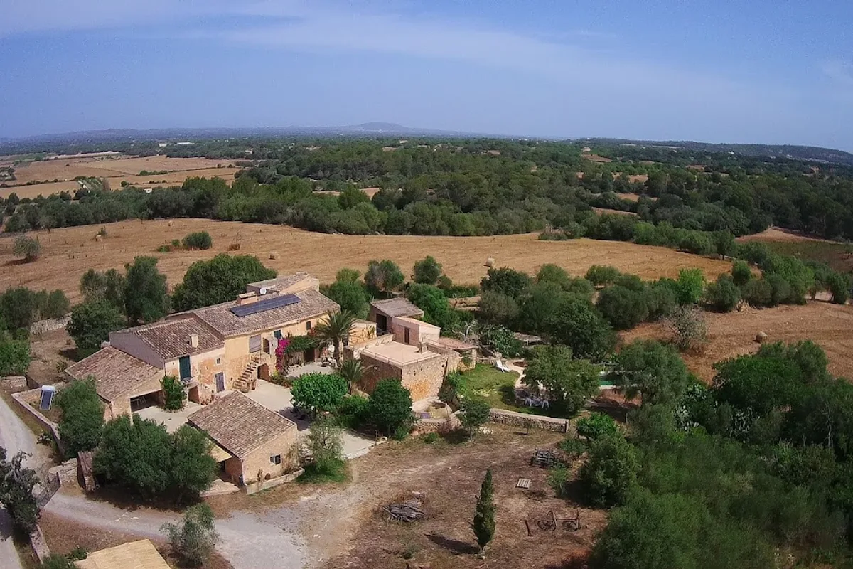 SON RAMONET PETIT