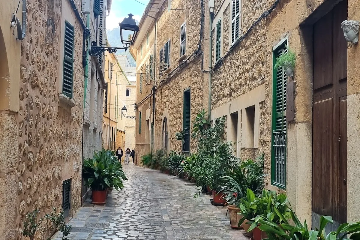 CAN VERI SUITES