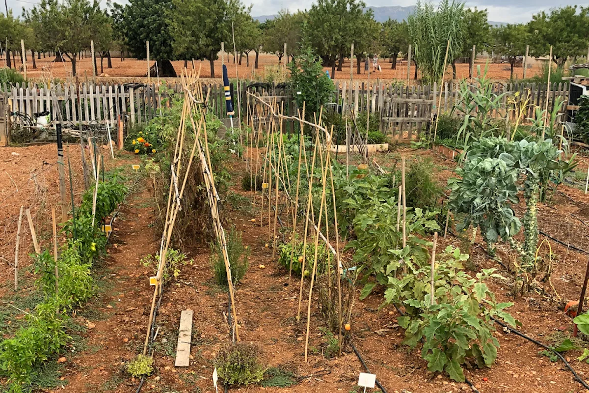 FINCA LOS PODADORES