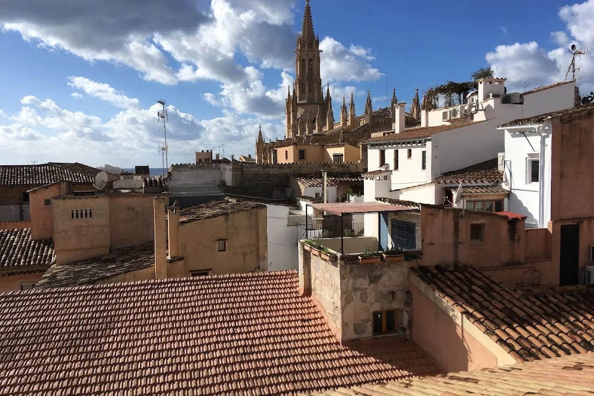 CORDERIA 4