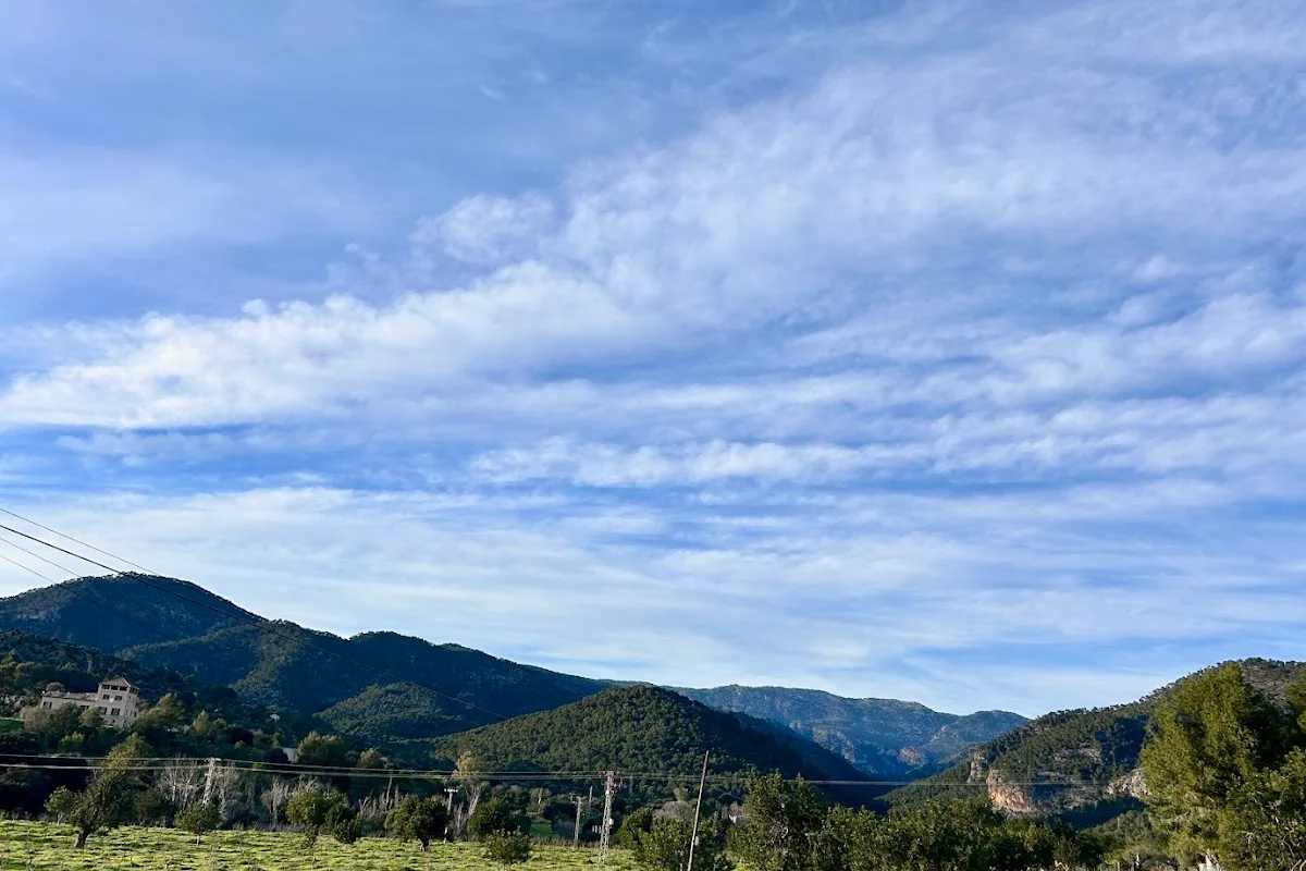 COANEGRA