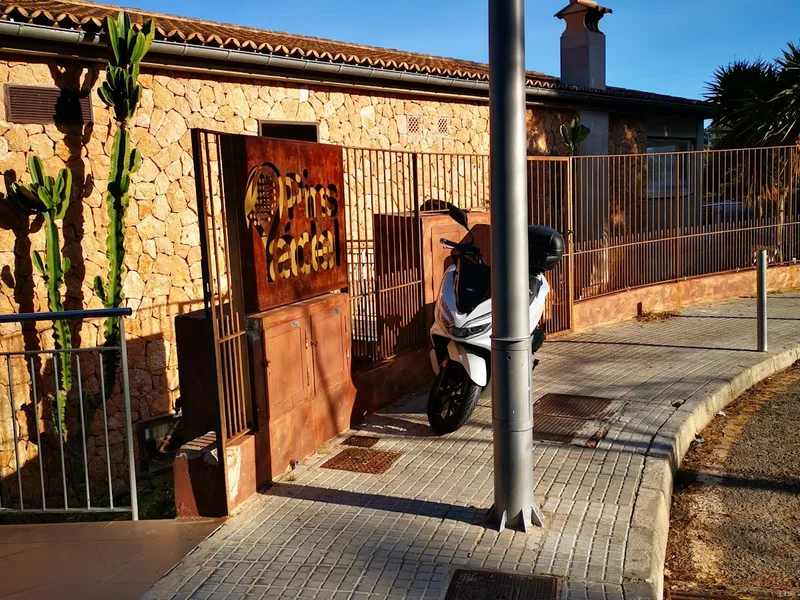 PINS PADEL foto 1