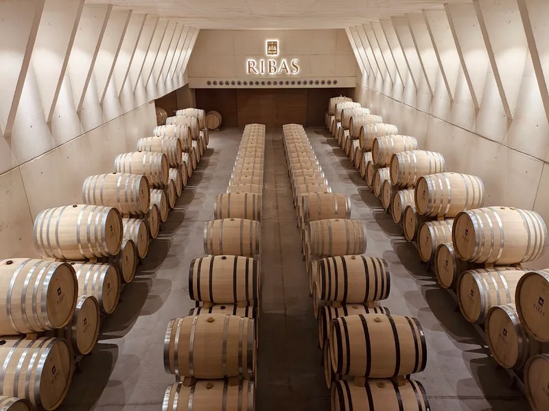 BODEGA RIBAS foto 1