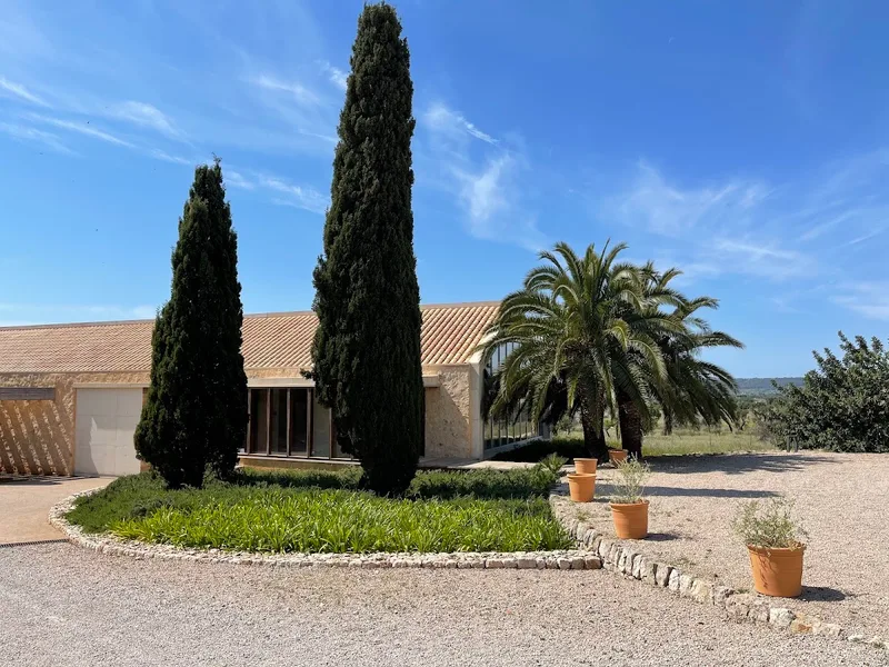 BODEGA RIBAS foto 2