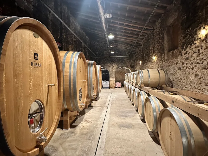 BODEGA RIBAS foto 3