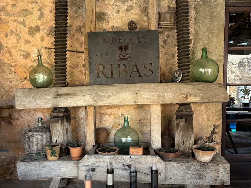BODEGA RIBAS foto 4