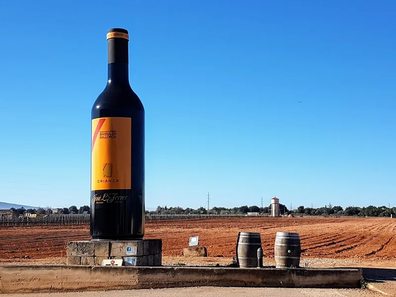 BODEGAS JOSÉ L. FERRER foto 2