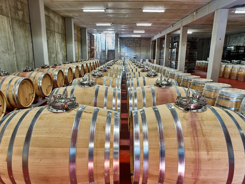 BODEGAS JOSÉ L. FERRER foto 3
