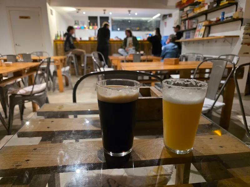 SA CERVISERIA CRAFT BEER & ORGANIC WINE foto 2