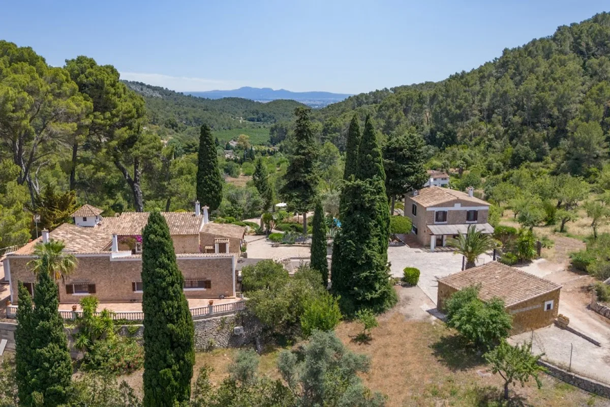 EL PINO I