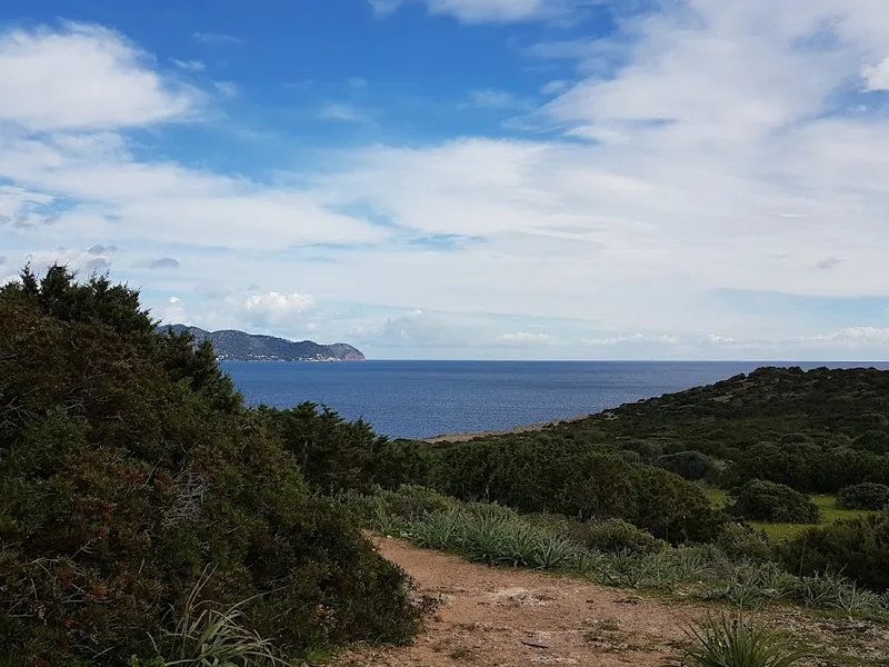 ES CASTELL foto 4