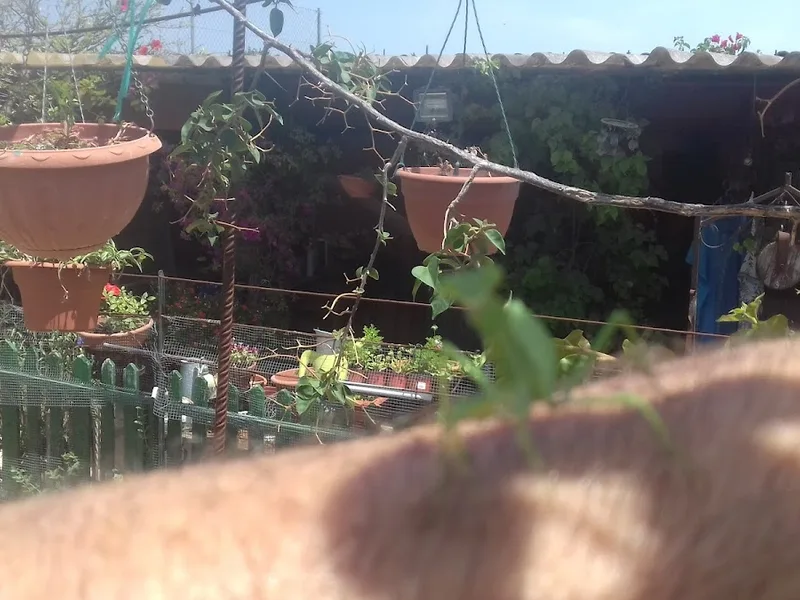 LA PROTECTORA foto 3