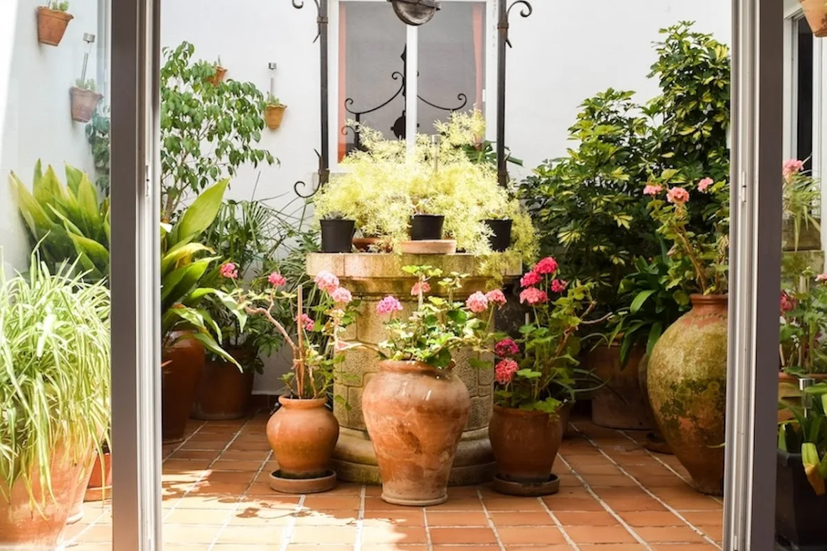 Villa Alexia Apartments